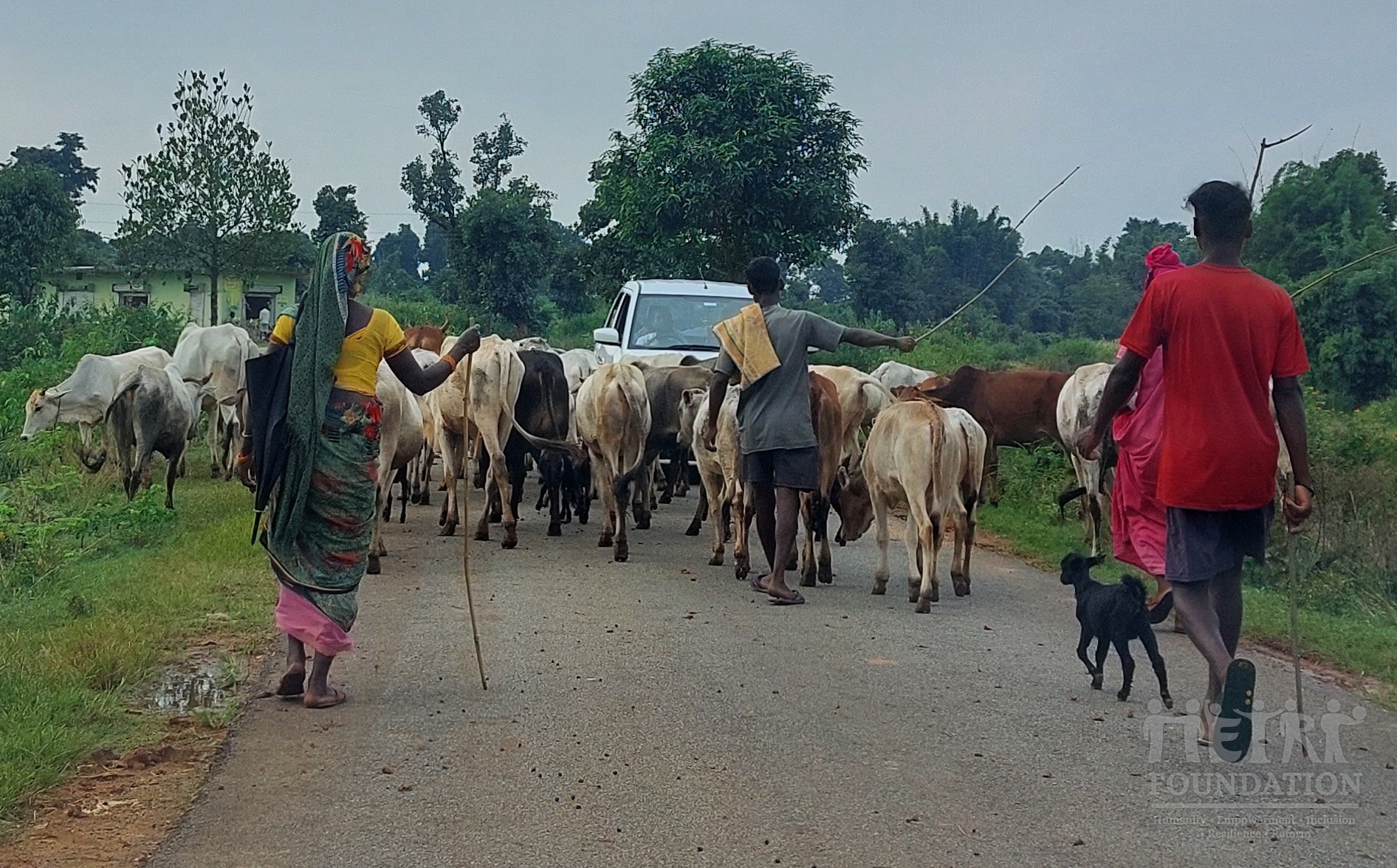 Rural India