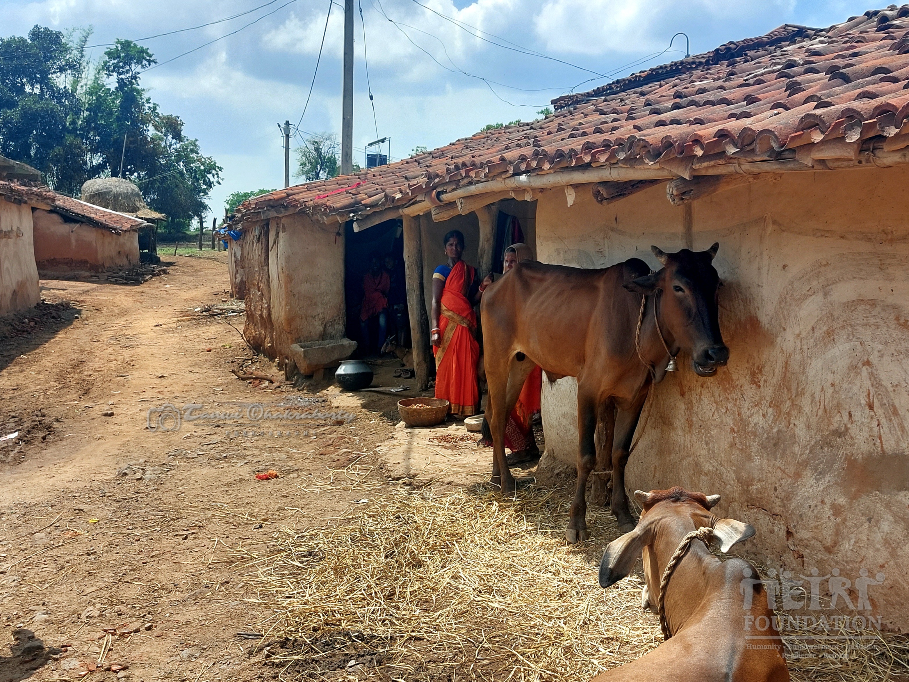 Rural India
